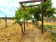 MAISON FAMILLE 4CH + NBREUSES DEPENDANCES + JARDIN — photo 3