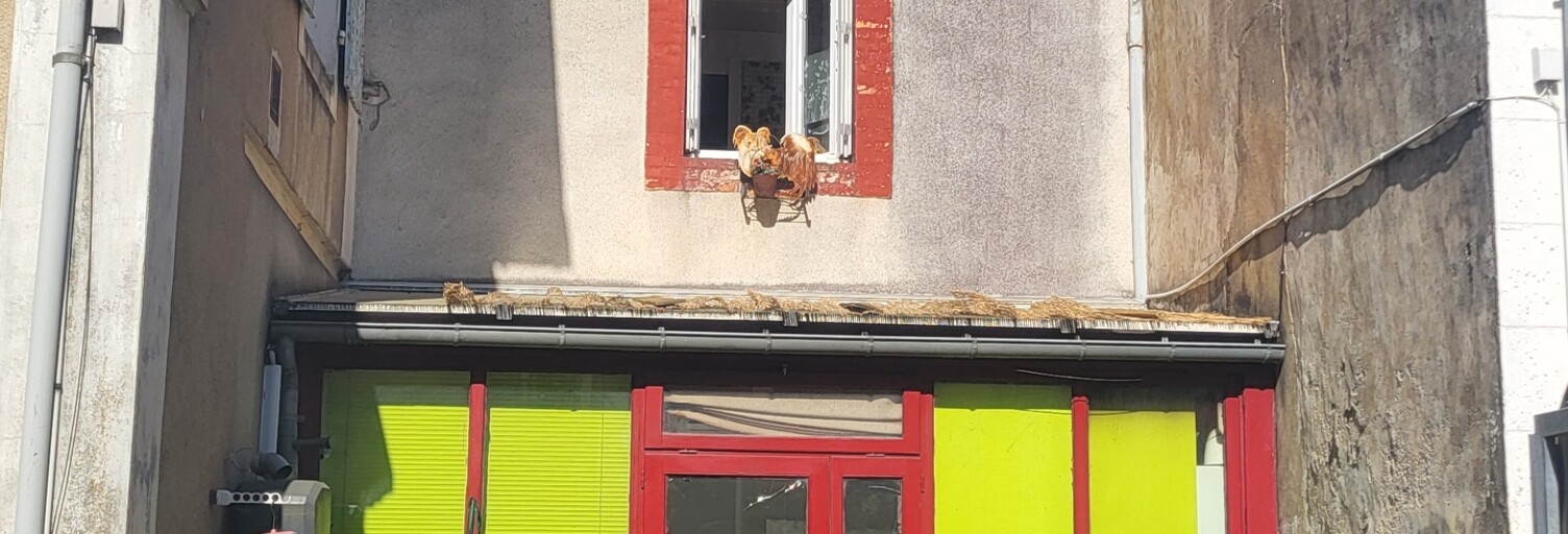 Maison 3 Pièces 50 m² à vendre à Sillé-le-Guillaume (72140)