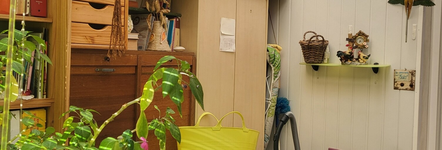 Photo N° 2