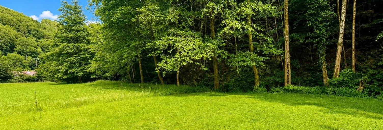 Maison 8 Pièces 124 m² à vendre à Sainte-Croix-aux-Mines (68160)