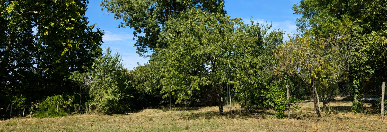 Terrain  600 m² à vendre à Gours (33660)