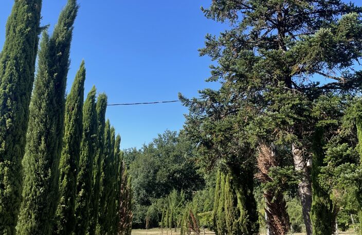 Vente Domaine 7 pièces — photo 2