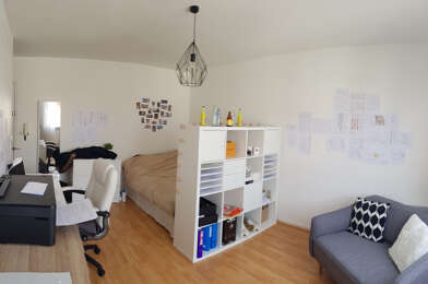 Appartement 1 pièces 425 €