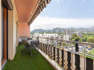 ' Bellissimo ' — photo 3