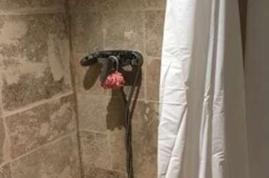 Appartement 1 pièces 700 €