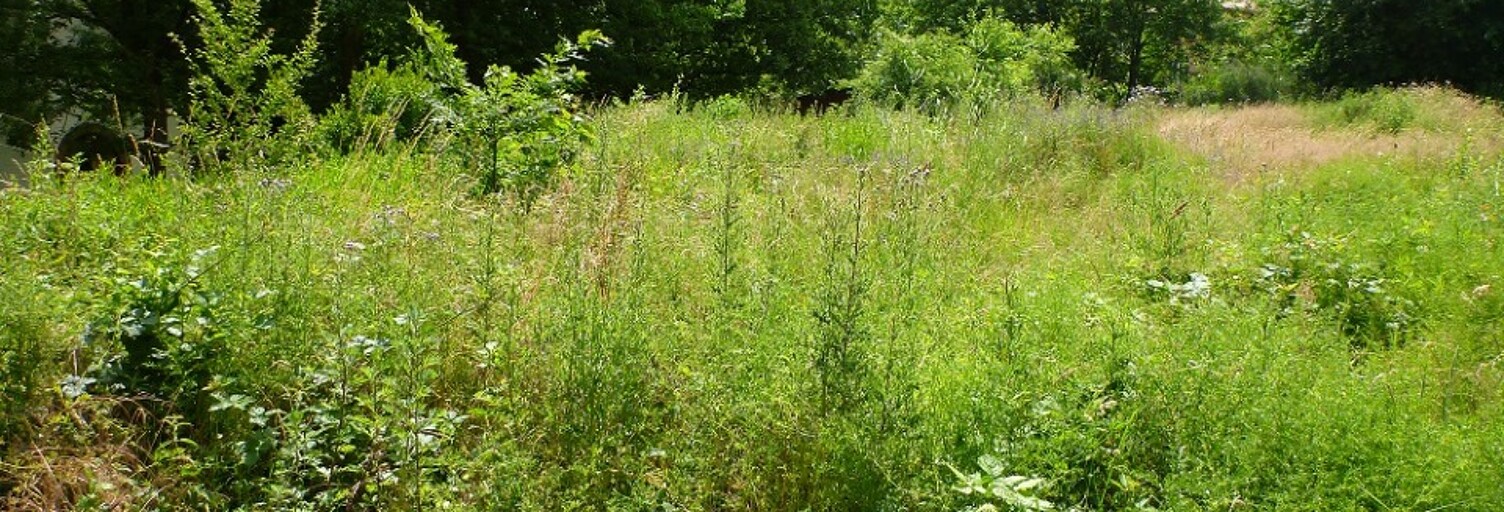 Terrain  500 m² à vendre à Blanquefort (33290)