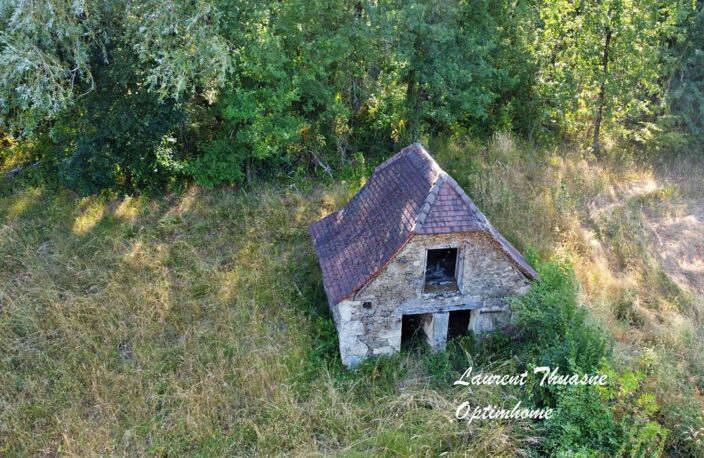 Propriété 30 pièces 551 m² avec piscine sur 26 hectares de bois et pairies — photo 4