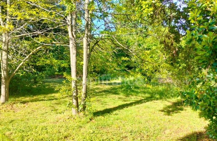 Maison de campagne à vendre 6 pièces  (20) 2700m2 de terrain piscinable — photo 2