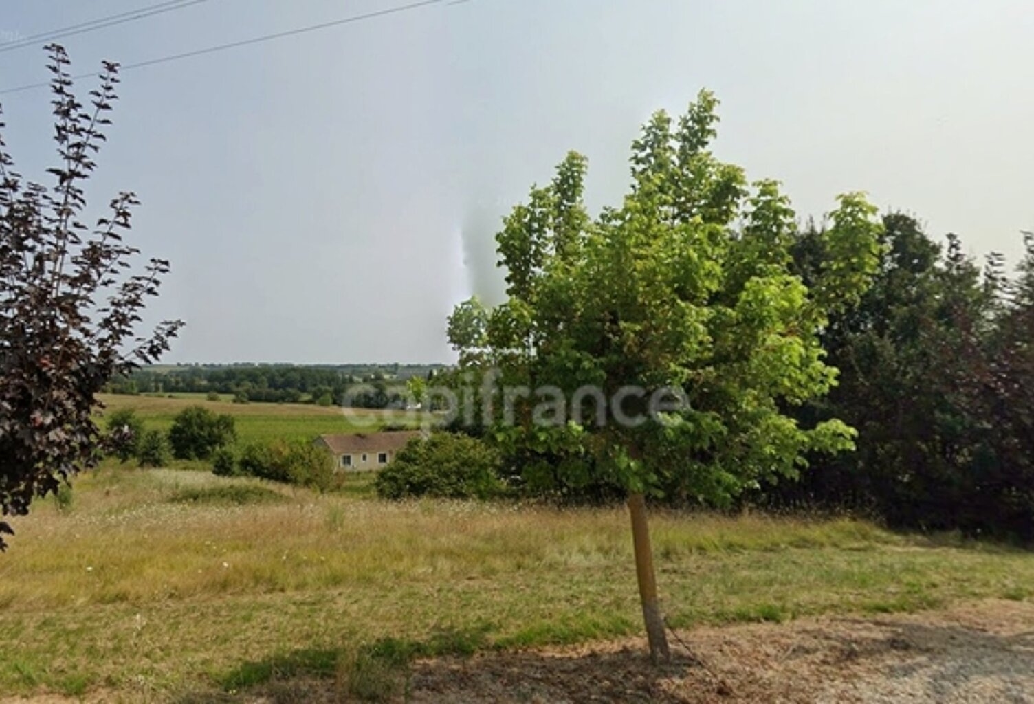 Terrain 3 878 m² – cadre naturel privilégié à Moulînet — photo 1