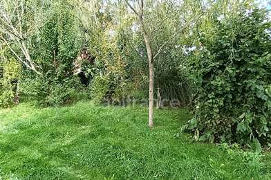 Terrain  59500 €