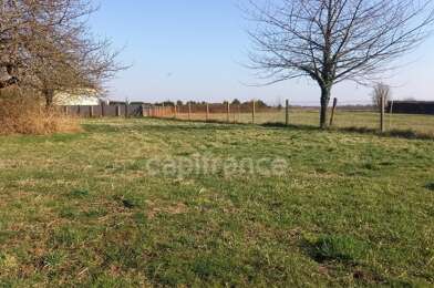 Terrain  64000 €