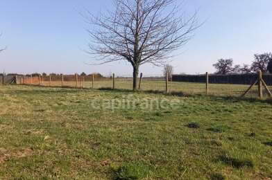 Terrain  85000 €
