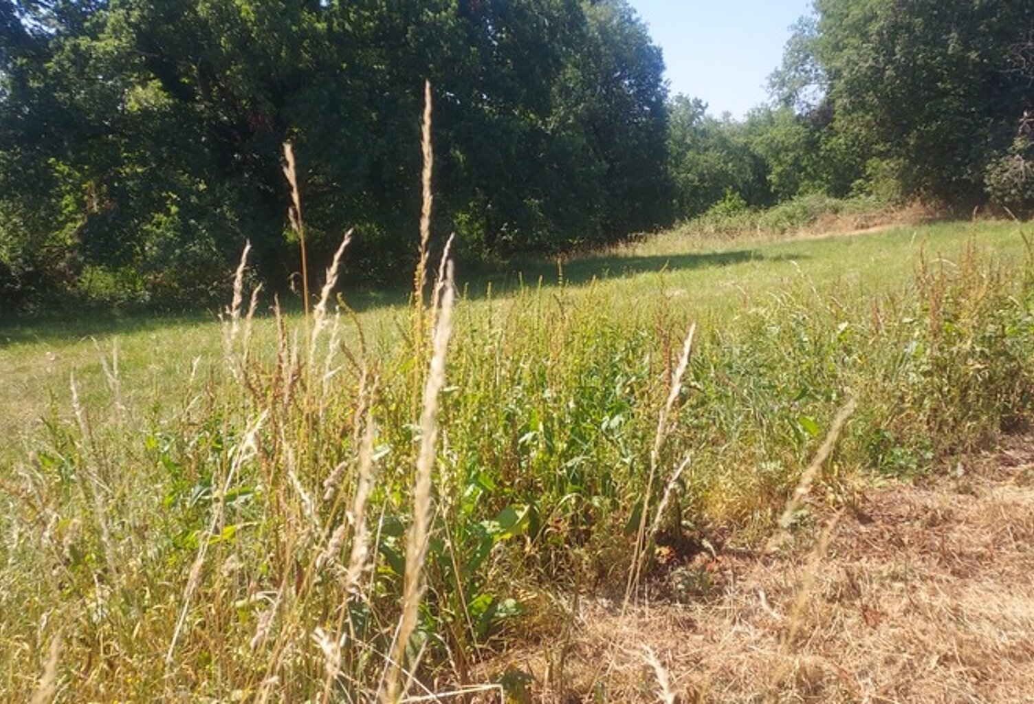 Terrain à vendre de 819,00 m² MASCLAT (46) — photo 1