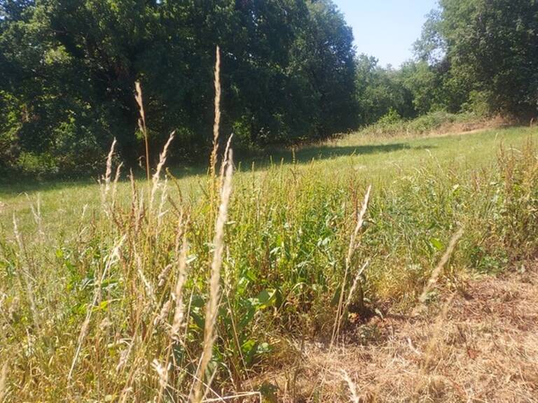 Terrain à vendre de 819,00 m² MASCLAT (46) — photo 1
