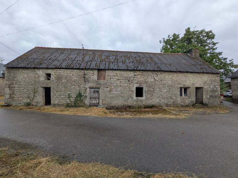 PLOUAY EN CAMPAGNE ENSEMBLE IMMOBILIER COMPOSÉ D' UNE MAISON DE 45M² HABITABLE, UNE GRANGE DE 33 M², UN BÂTIMENT EN PIERRE DE 91 M² UNE PARCELLE DE 711m² ENVRION — photo 1