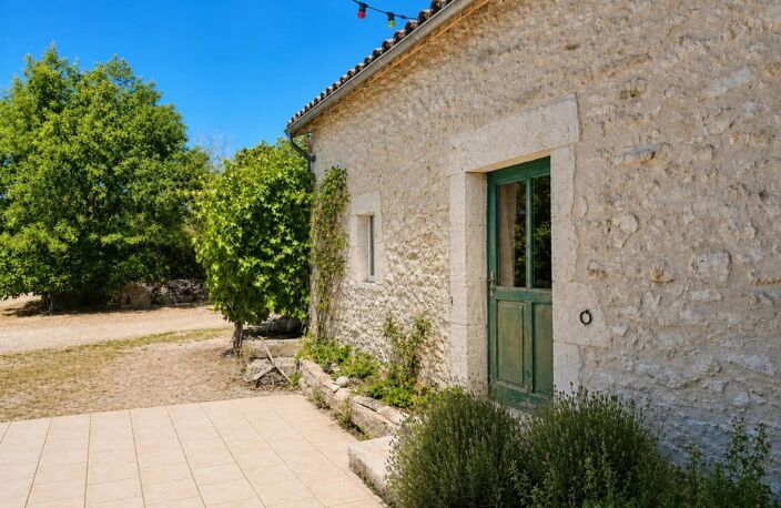 Maison de 10 pièces de 250 m² à Pardaillan — photo 3