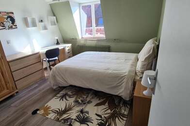 Appartement 1 pièces 420 €