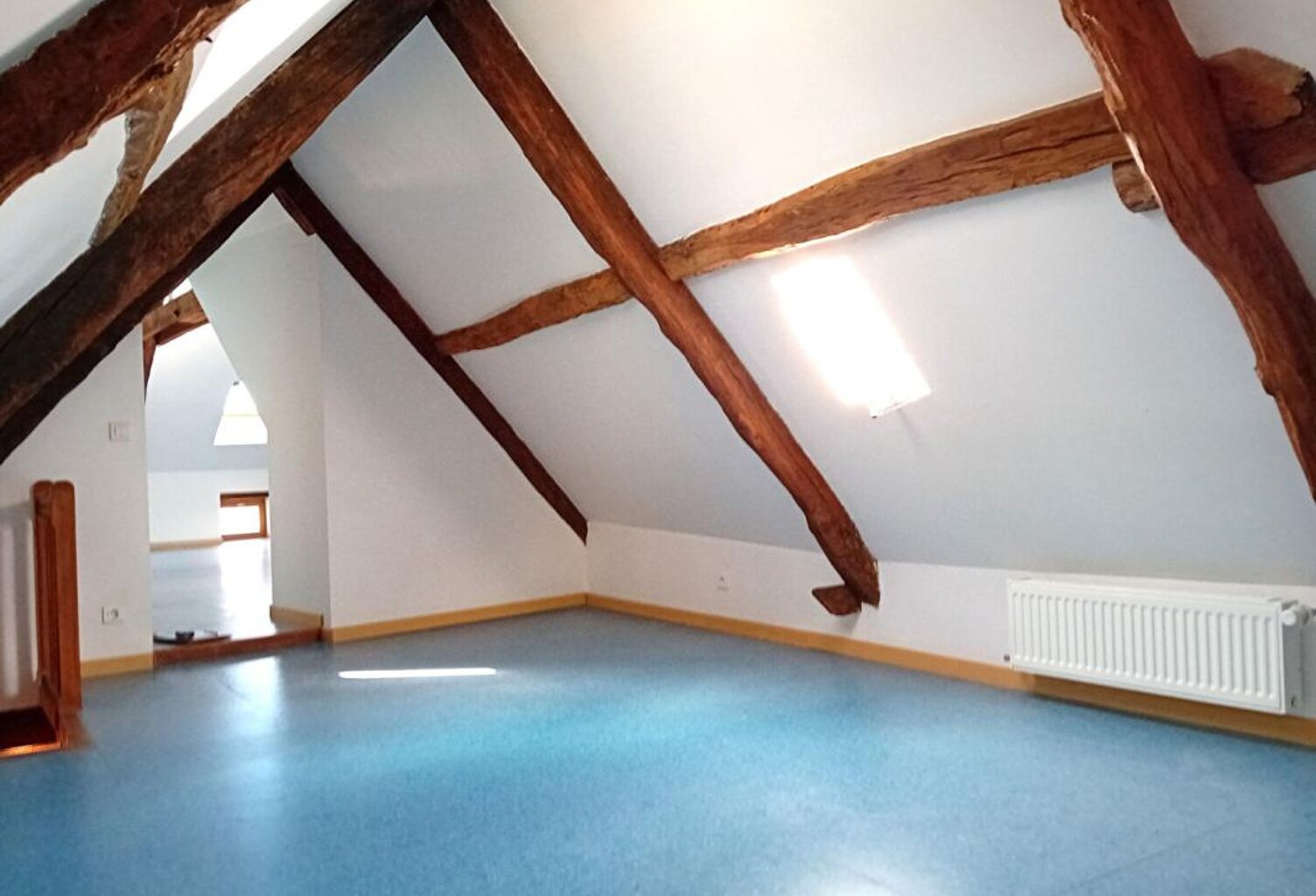 Maison 173m² 6 pièces avec local professionnel — photo 1
