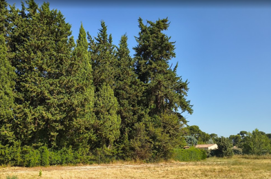 Terrain  198000 €