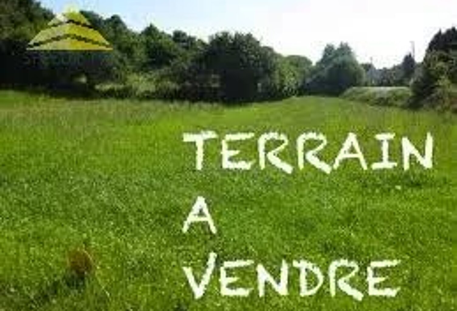 Vente terrain  370 m² Mandres-les-Roses (94520) — photo 1