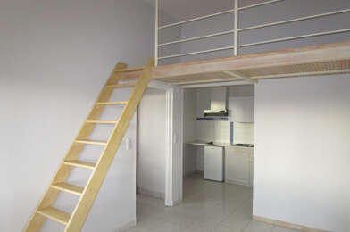 Appartement 1 pièces 355 €