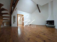 GRENOBLE - LOFT T2- ATYPIQUE — photo 2