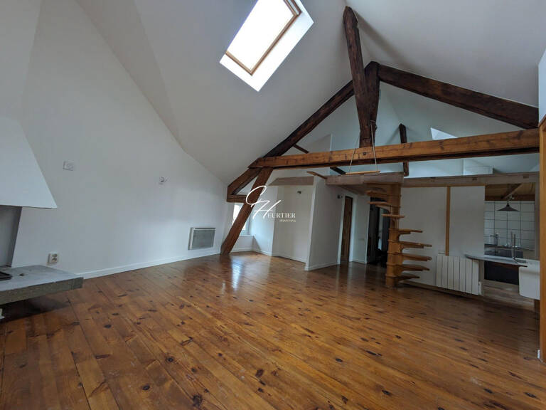 GRENOBLE - LOFT T2- ATYPIQUE — photo 1