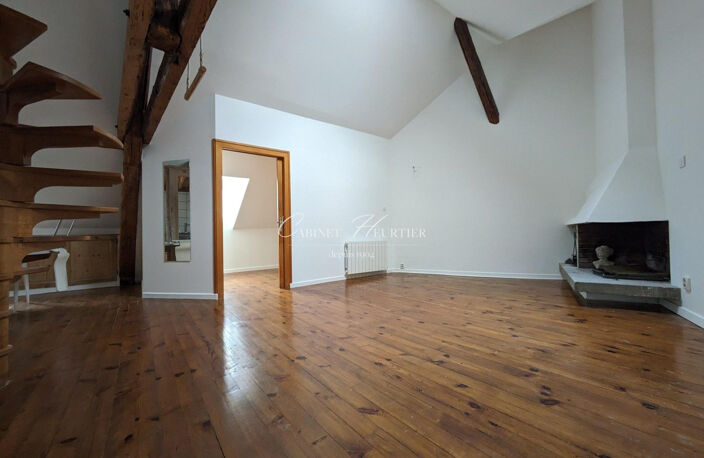GRENOBLE - LOFT T2- ATYPIQUE — photo 2