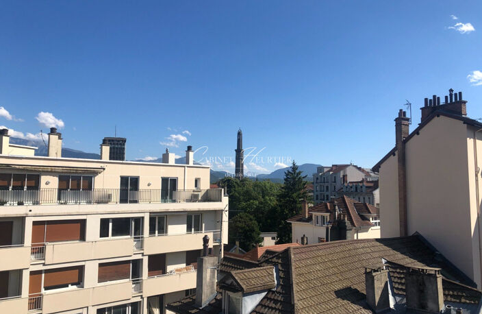 GRENOBLE - LOFT T2- ATYPIQUE — photo 4