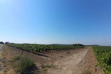 Terrain  60000 €