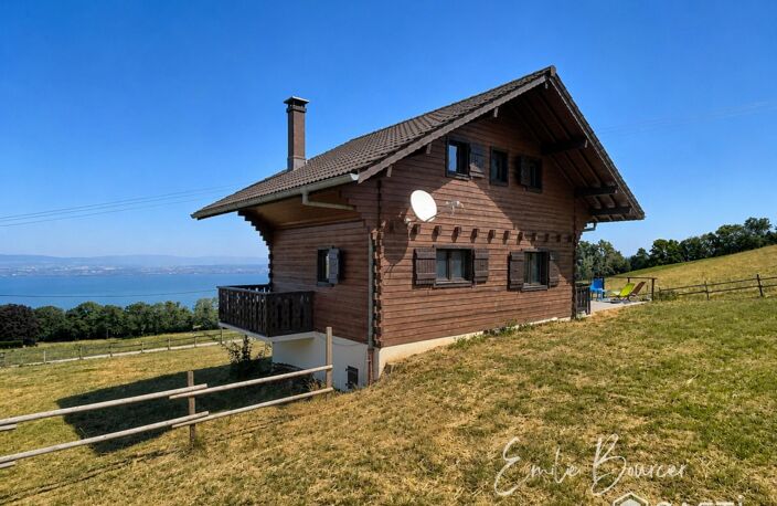 Chalet familial avec vue lac, entre lac et montagne — photo 4