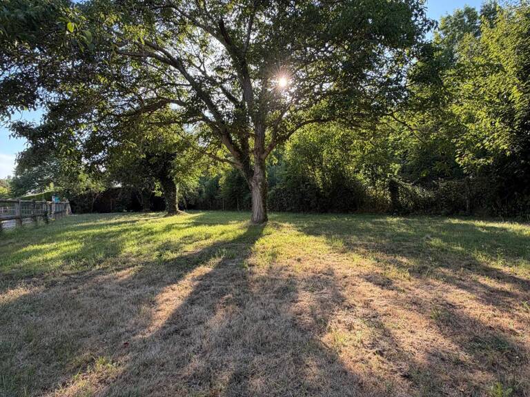 Terrain à bâtir plat et arboré de 400m2 — photo 1