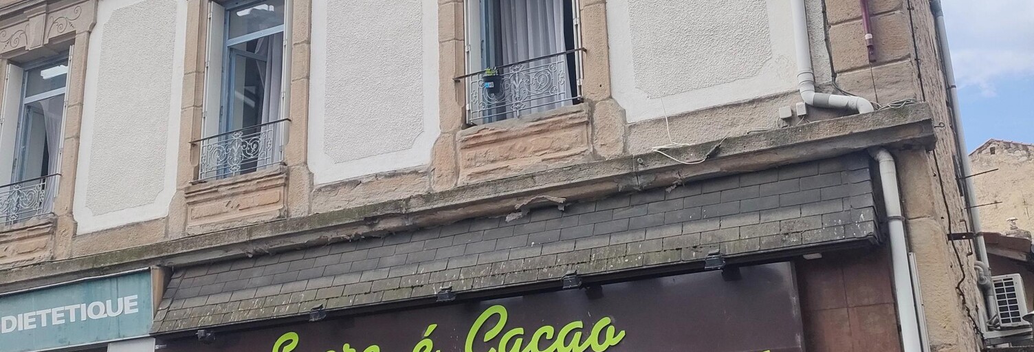 Appartement 3 Pièces 79 m² à vendre à Le Chambon-Feugerolles (42500)