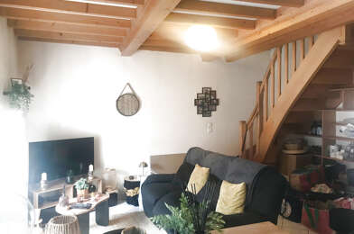 Appartement 3 pièces 800 €