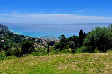 Terrain  990000 €