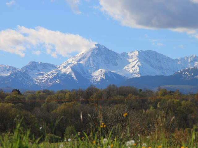 PROPRIETE HAUTES PYRENEES — photo du bien
