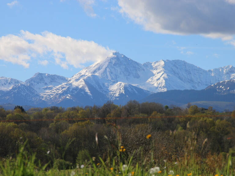 PROPRIETE HAUTES PYRENEES — photo 1