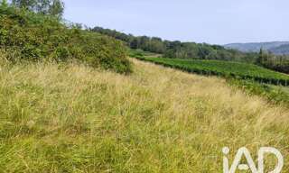 Terrain  1000 m² à vendre à Monein (64360)