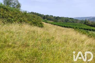 Terrain  96000 €