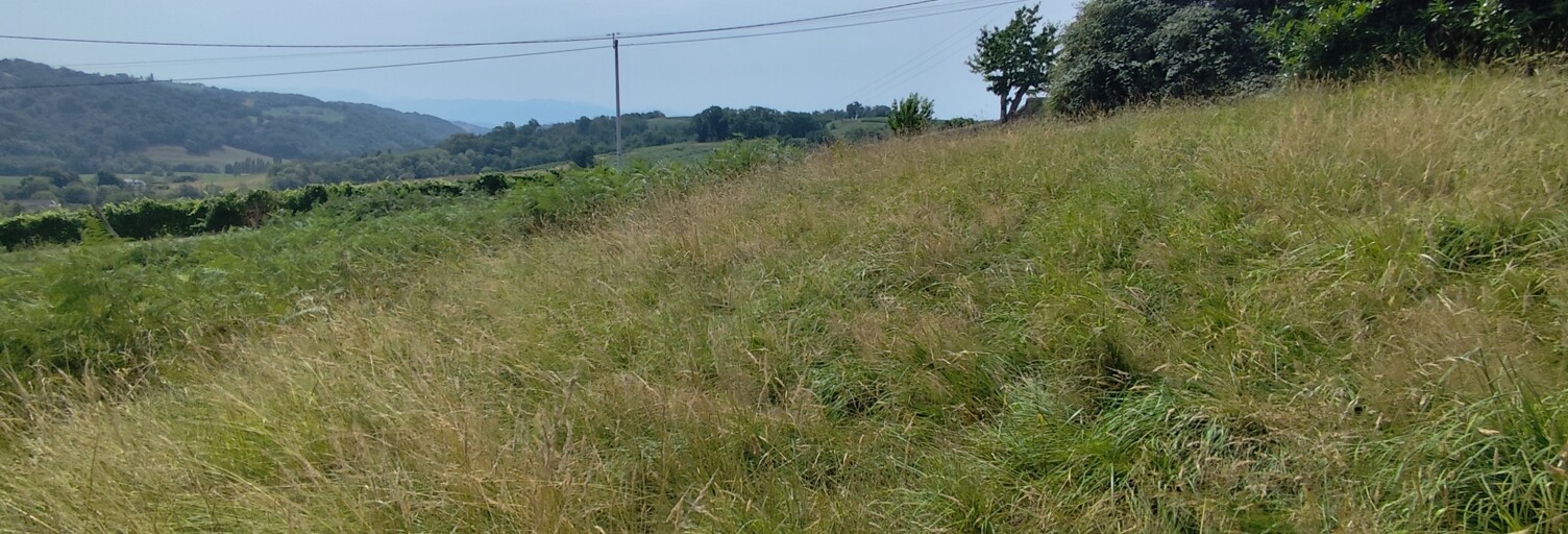 Terrain  1500 m² à vendre à Monein (64360)