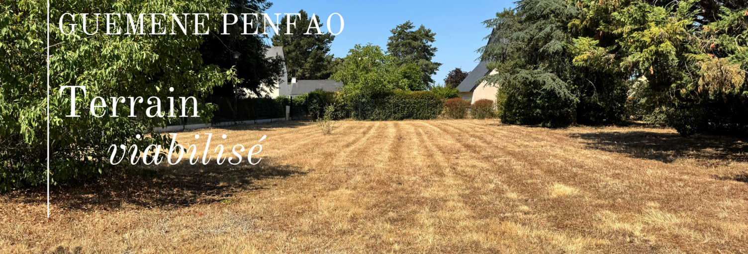 Terrain  1624 m² à vendre à Guémené-Penfao (44290)