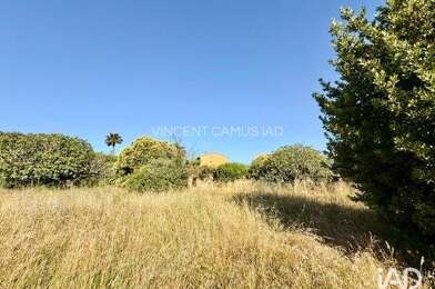 Terrain  260000 €