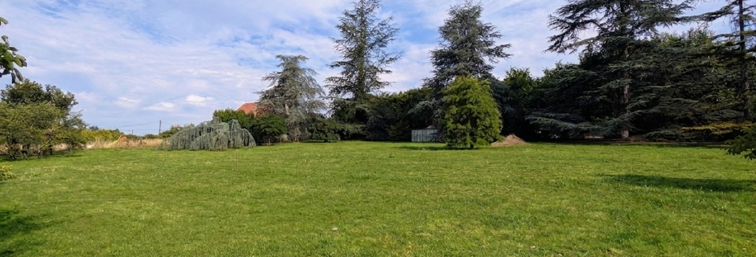 Terrain  7318 m² à vendre à Landes-le-Gaulois (41190)