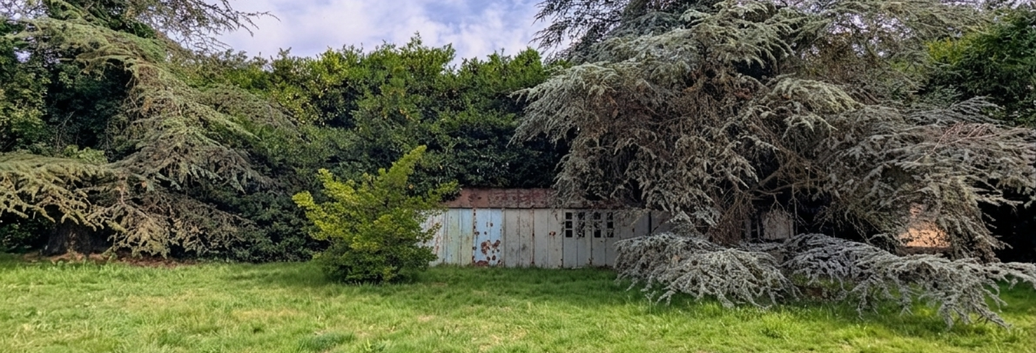 Photo N° 2