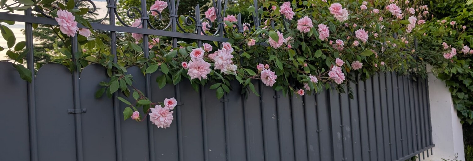 Photo N° 2
