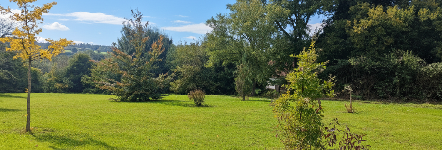 Terrain  1650 m² à vendre à Neuville-sur-Brenne (37110)