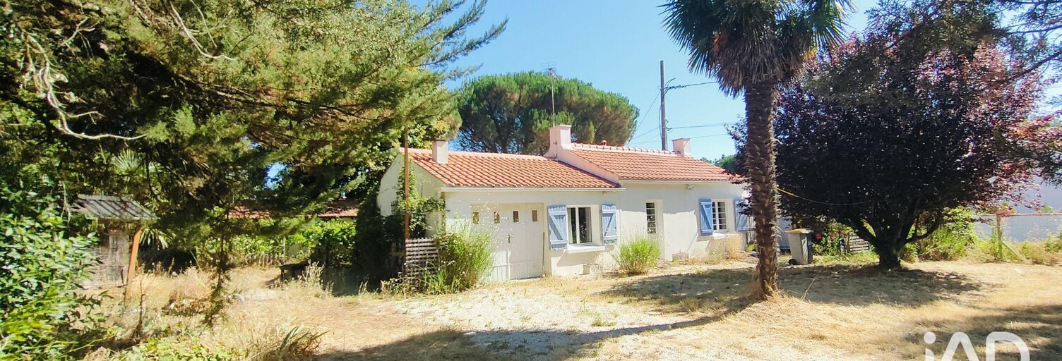Photo N° 2