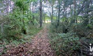 Terrain  3306 m² à vendre à Villemoutiers (45270)