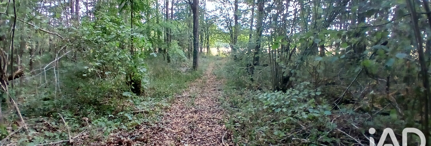 Terrain  3306 m² à vendre à Villemoutiers (45270)
