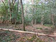 Vente Terrain 3 306 m&sup2; — photo 2